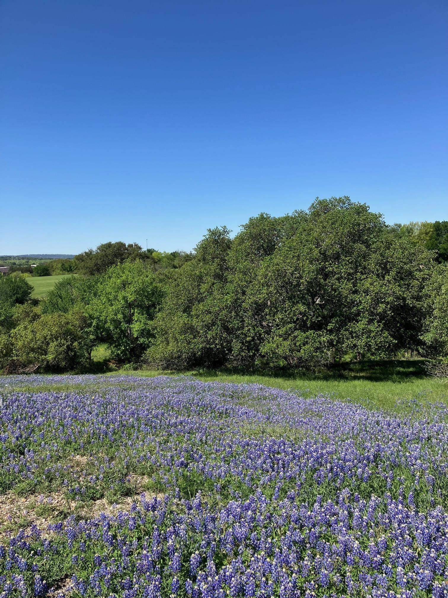 Horseshoe Bay, TX 78657,106 Ridgeway