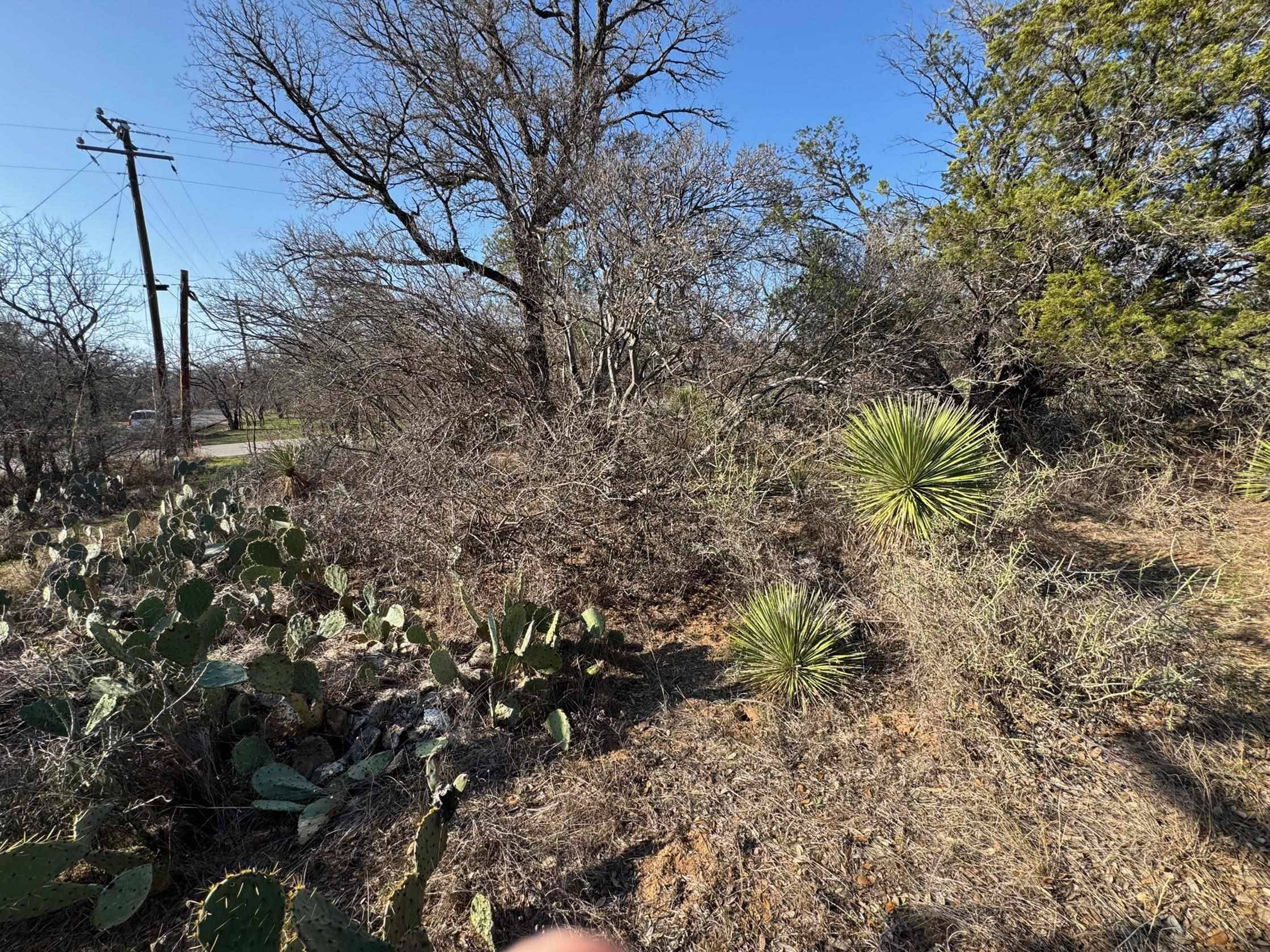 Granite Shoals, TX 78654,Lot 268 Valley View LN