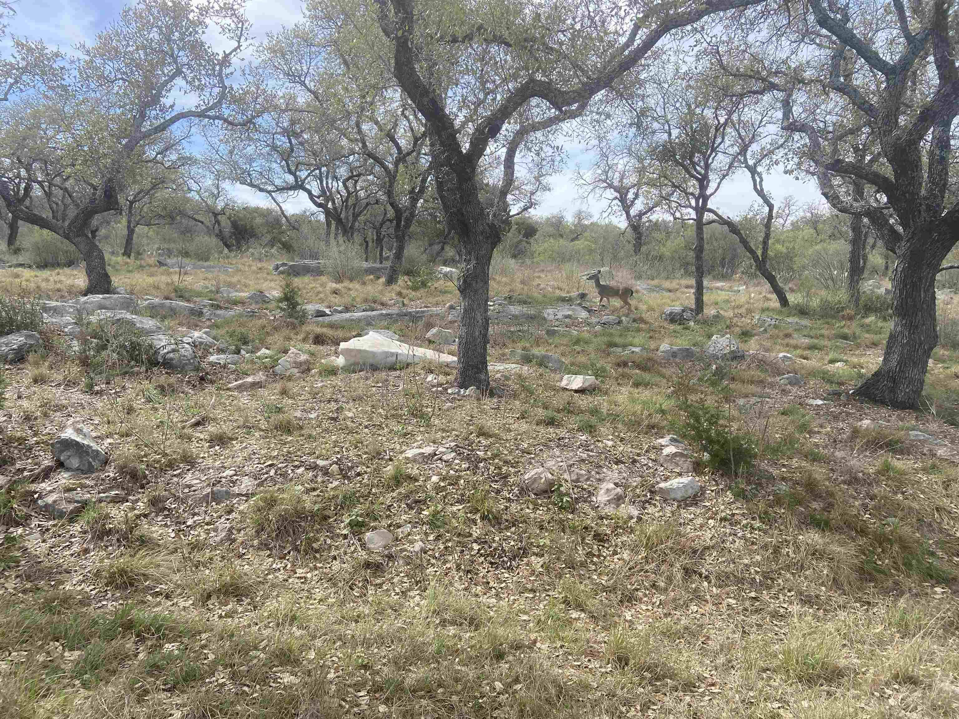 Horseshoe Bay, TX 78657-9999,44033 Twin Sails