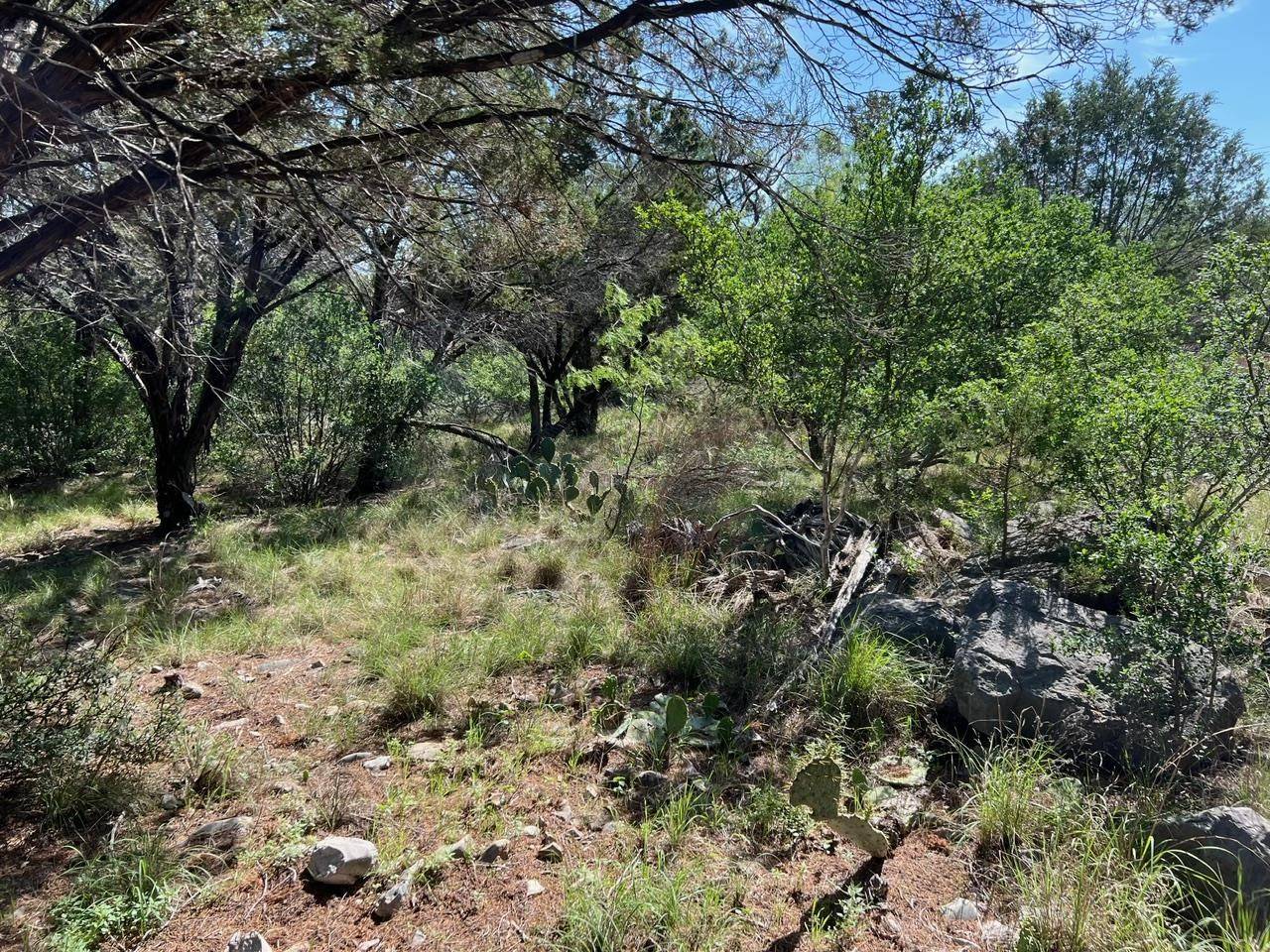 Horseshoe Bay, TX 78657,Lot K14060 Wells Fargo