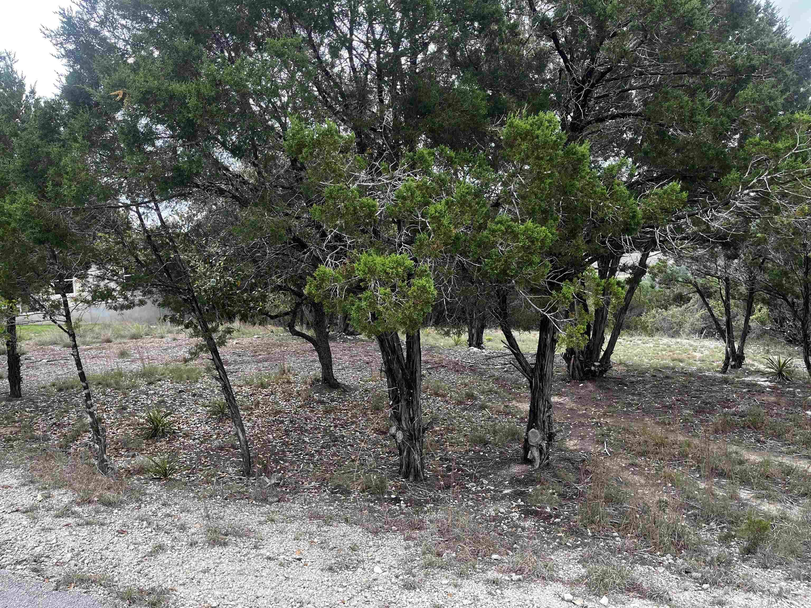 Lago Vista, TX 78645,20613 Falcon