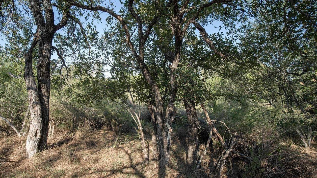 Granite Shoals, TX 78654,LOT 219 Timber Valley Ln