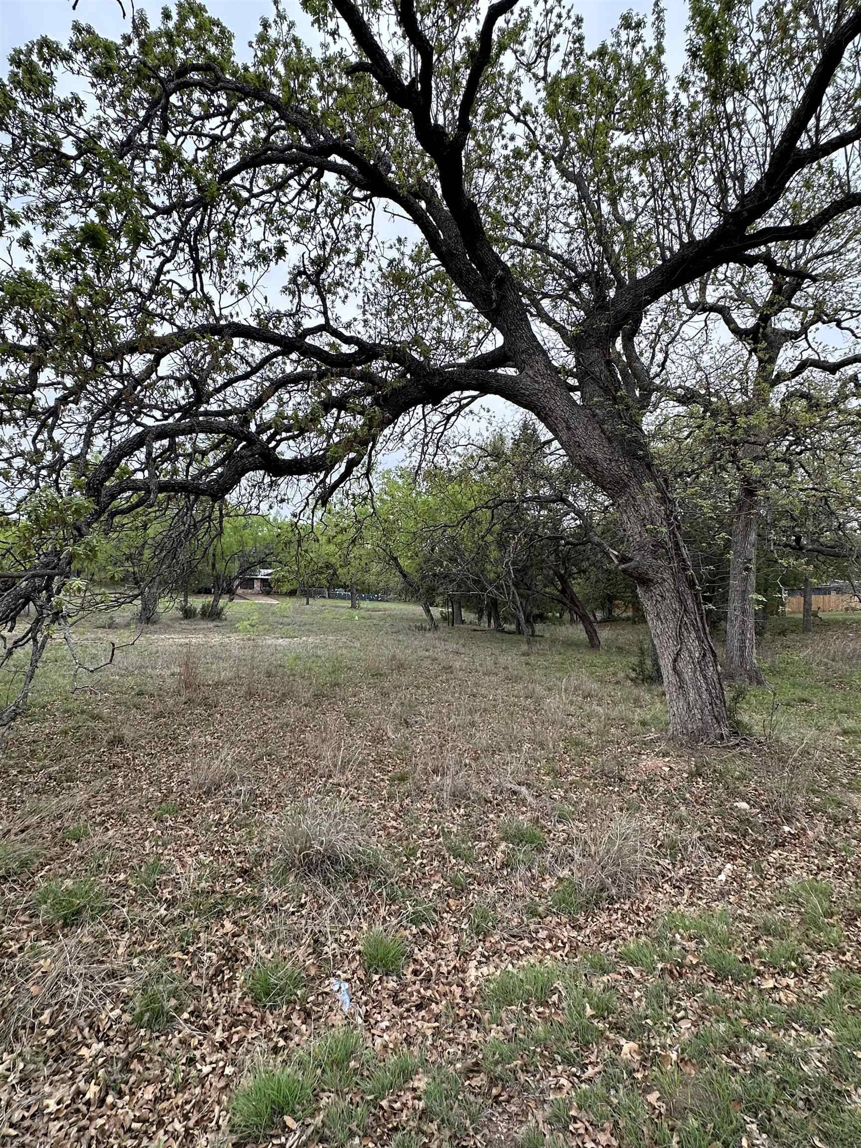 Cottonwood Shores, TX 78657,Lot 161 Driftwood Ln
