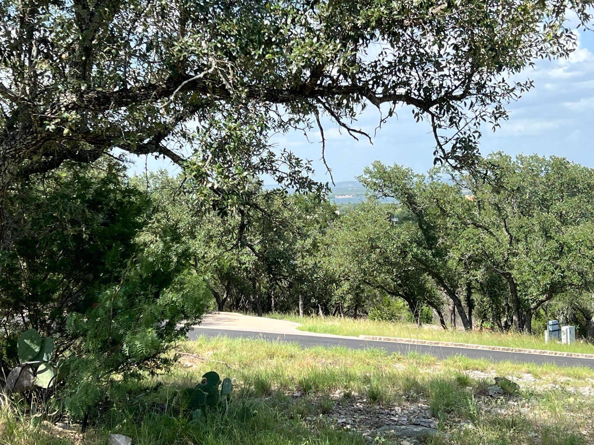 Horseshoe Bay, TX 78657-0000,Lots 24084 & 24 Ox Bow DR