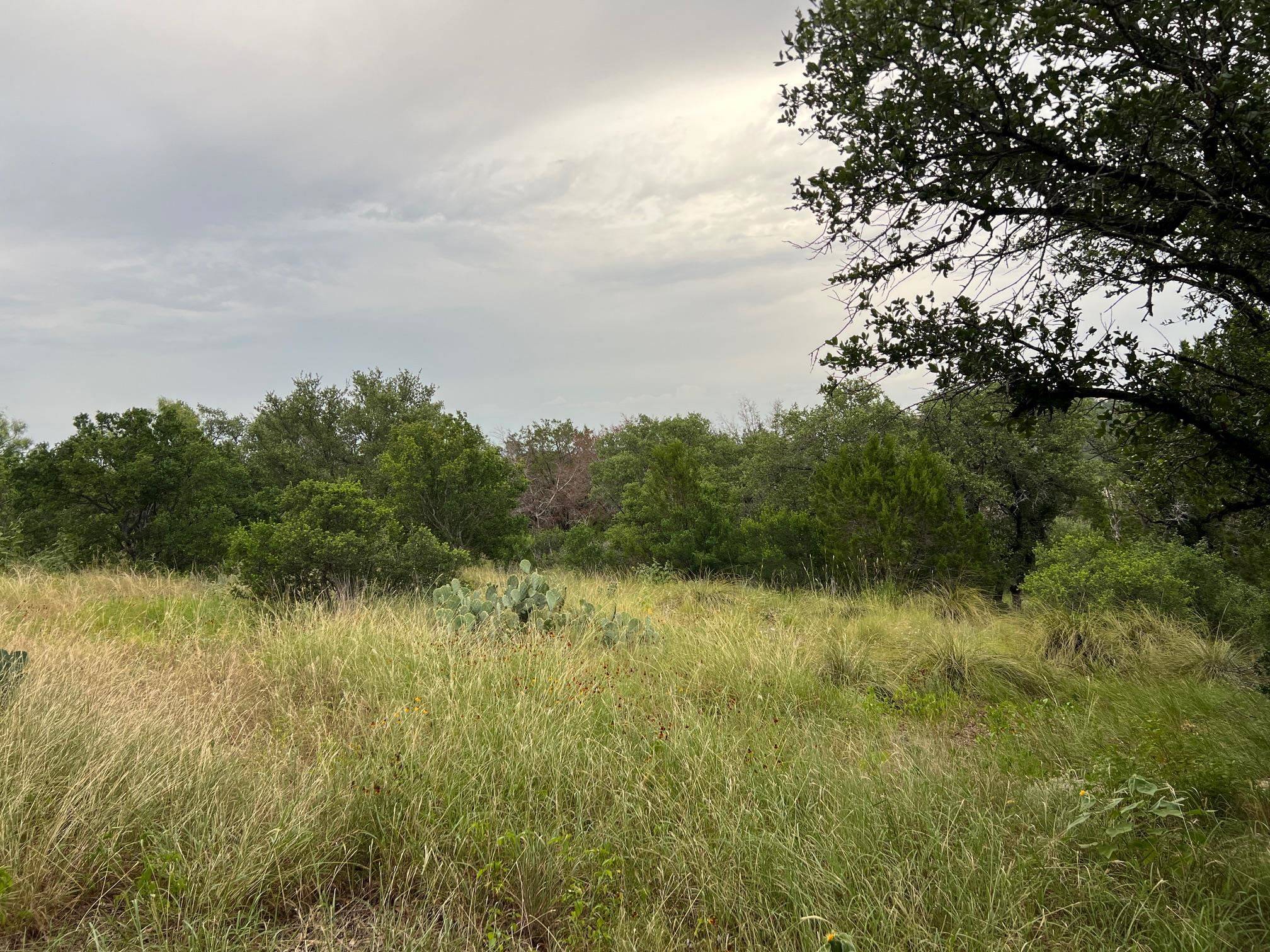 Horseshoe Bay, TX 78657,Lots 43010 & 11 Golden Eagle