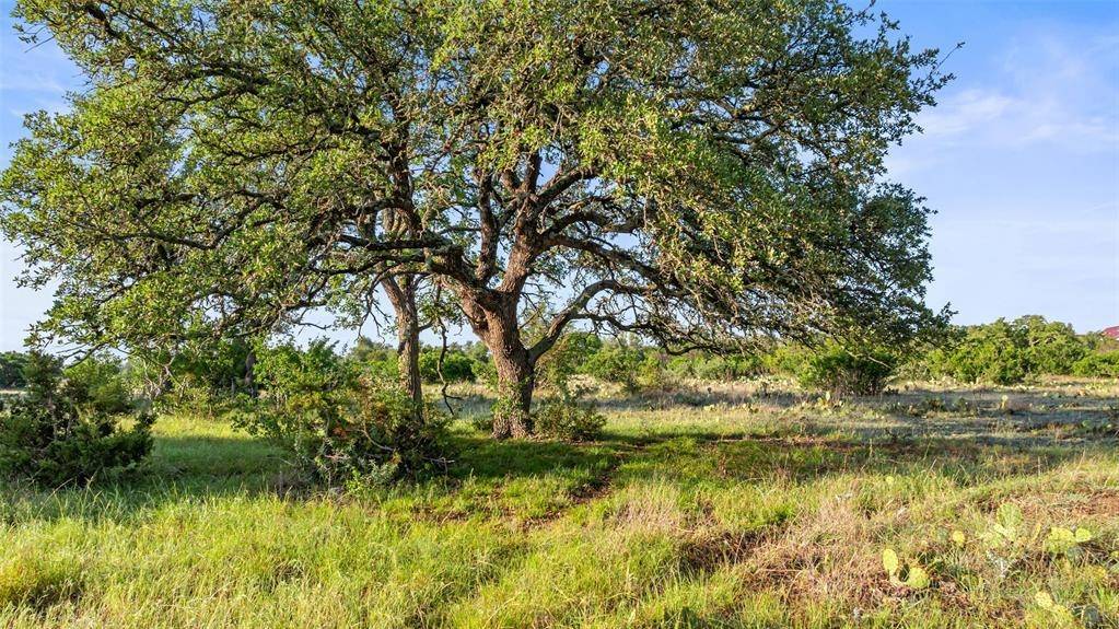 Round Mountain, TX 78663,Lot 3 & 4 Vista Ridge