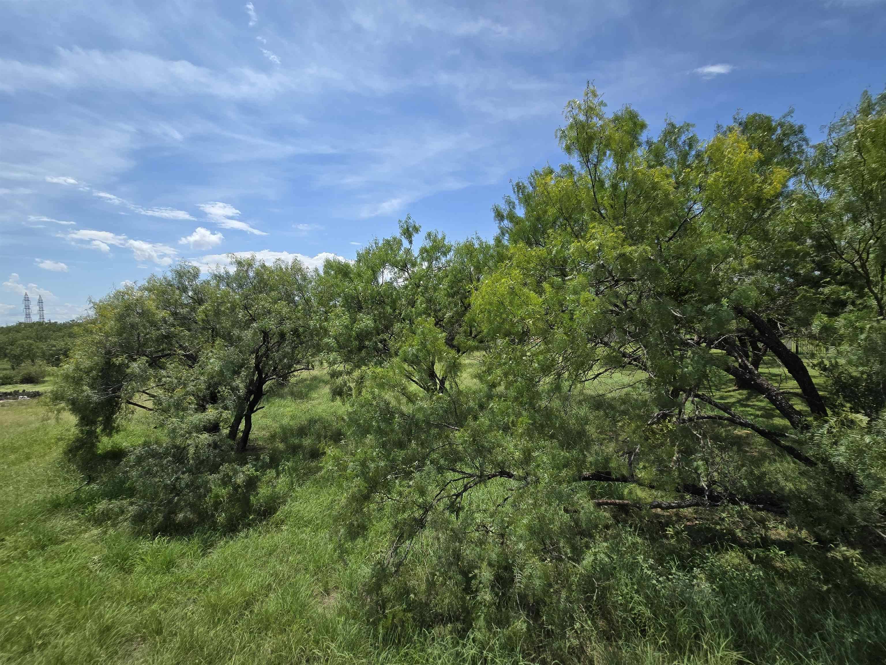 Horseshoe Bay, TX 78657,206 Colt