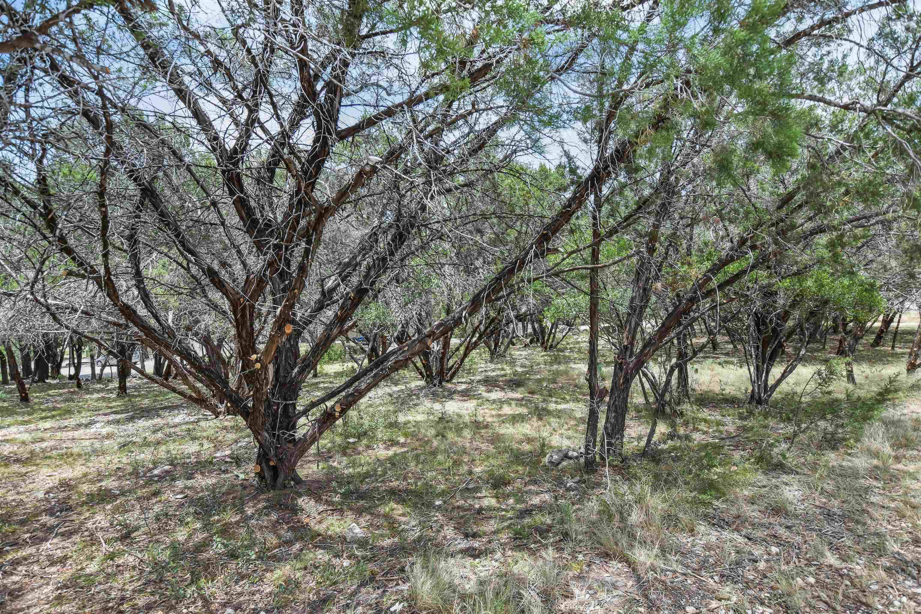 Lago Vista, TX 78645,TBD Rimrock 937 DR