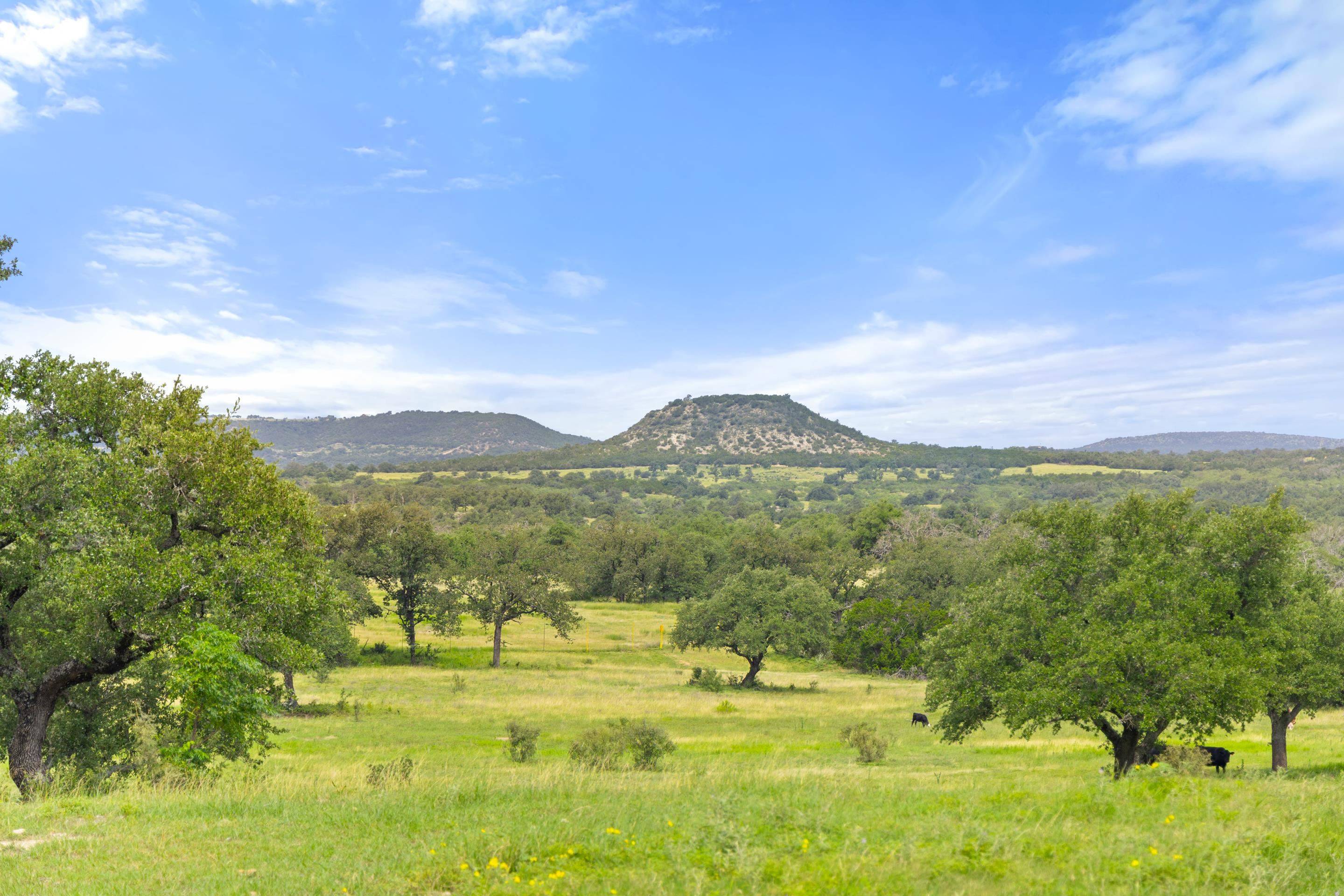 Fredericksburg, TX 78624,9069-47 Ranch Road 1323