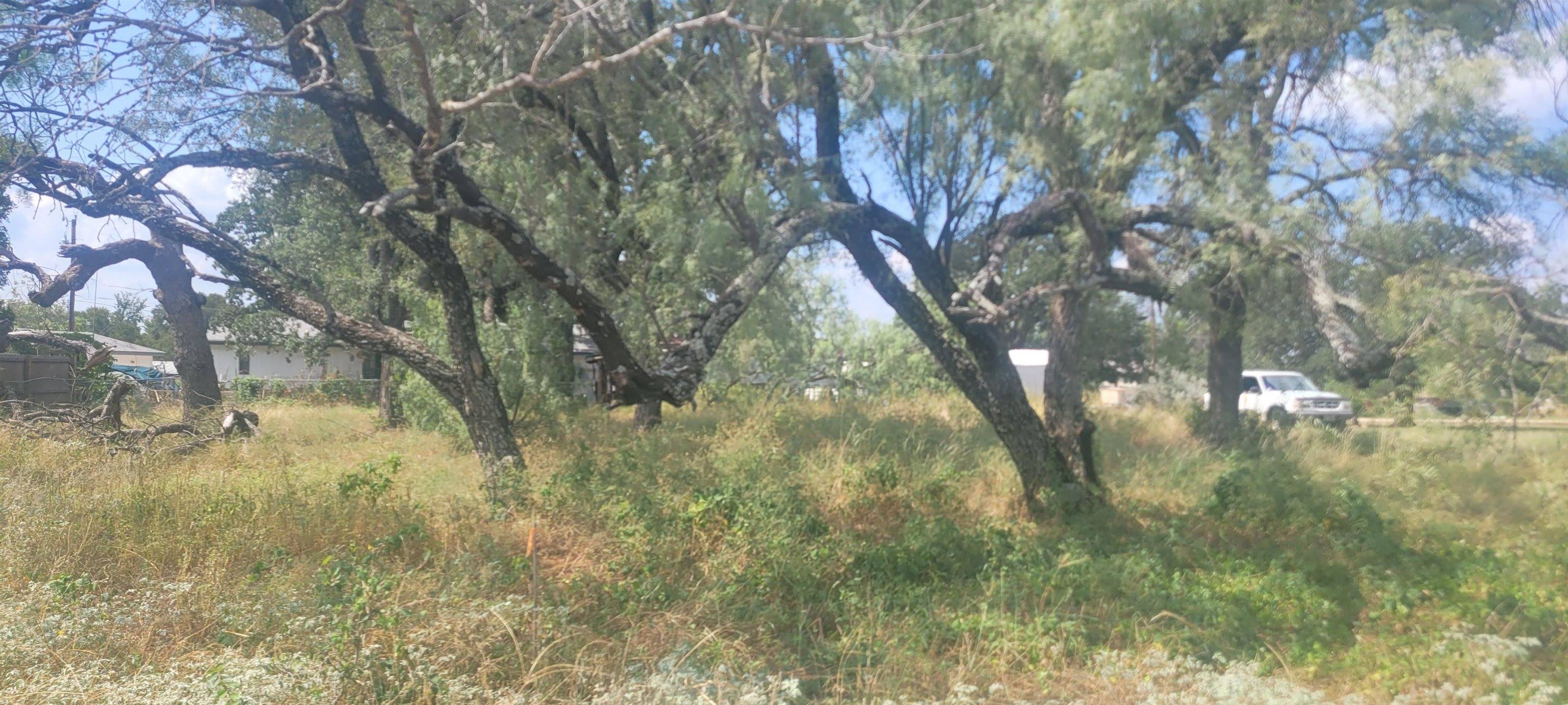 Granite Shoals, TX 78654,TBD Kingsmoon DR