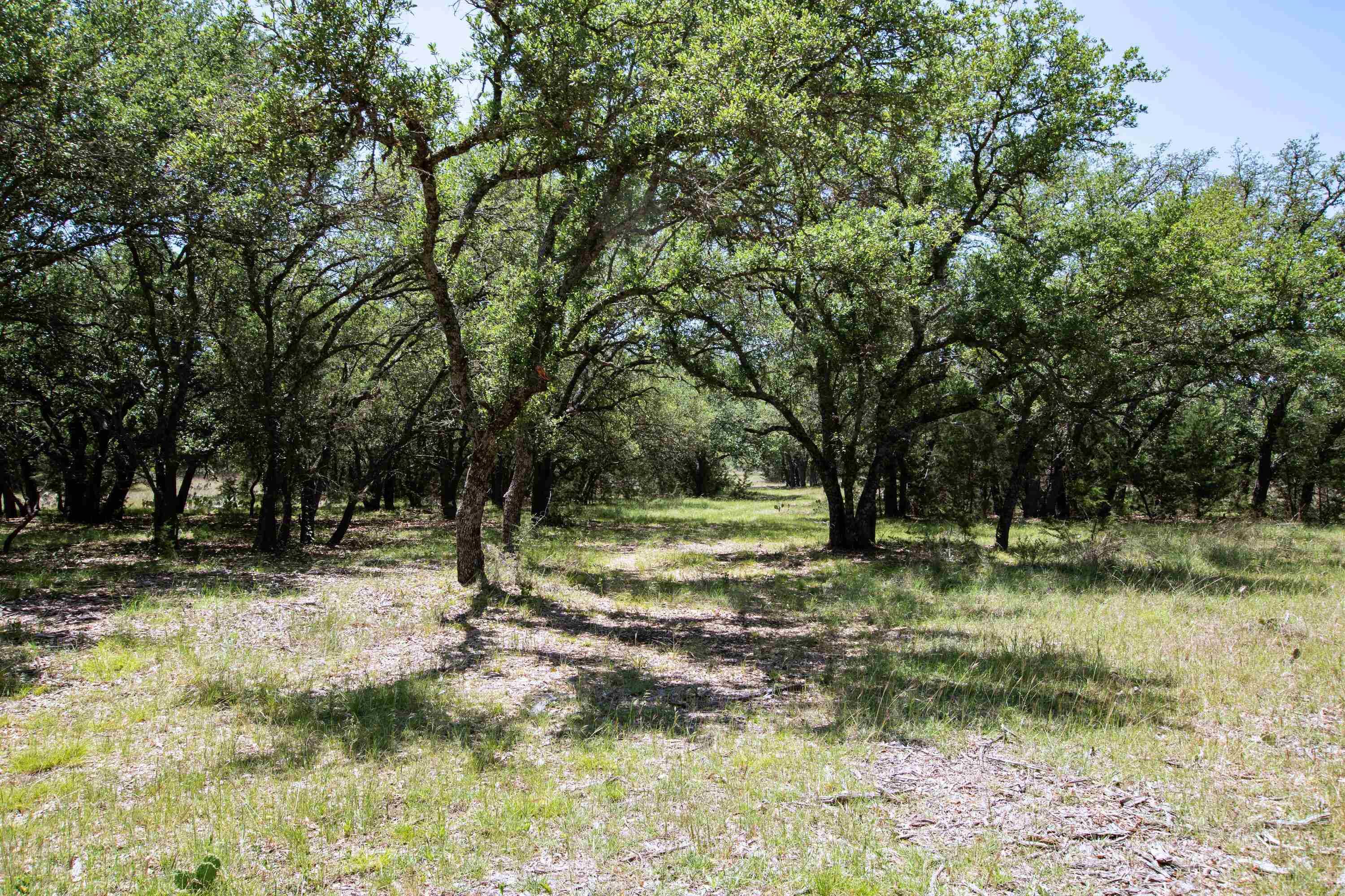 Lampasas, TX 76550,Lot 82 Shin Oak DR