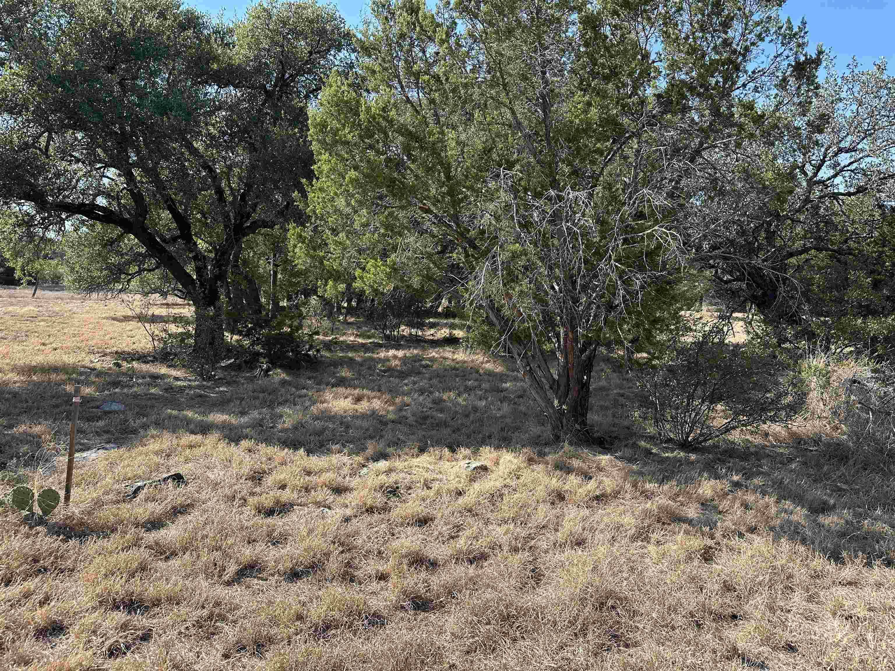 Horseshoe Bay, TX 78657,Lot K15074 Miss Kitty