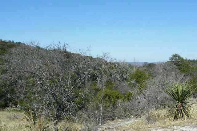 Horseshoe Bay, TX 78657,22259 Long Shot