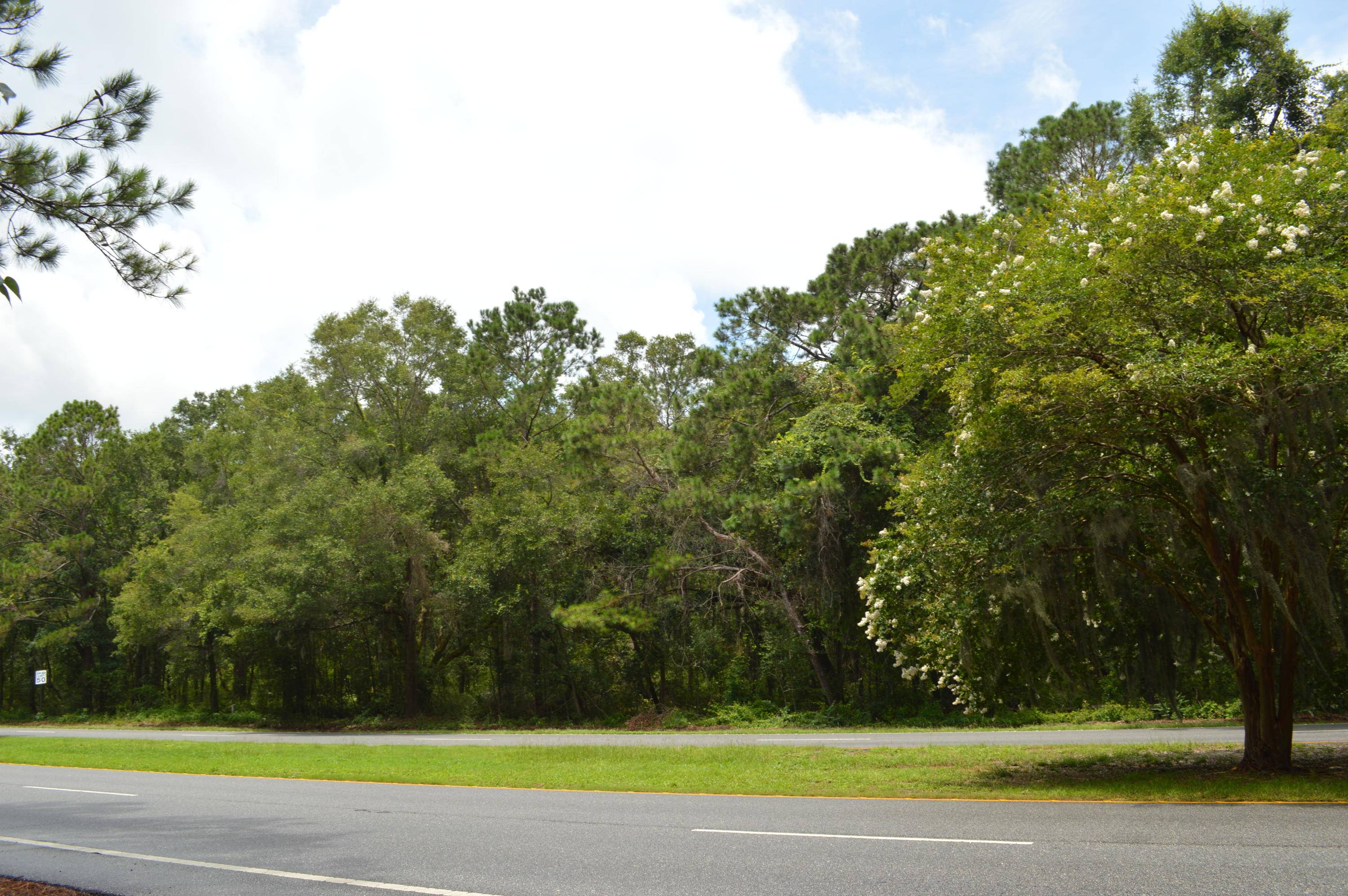 Johns Island, SC 29455,4346 Betsy Kerrison