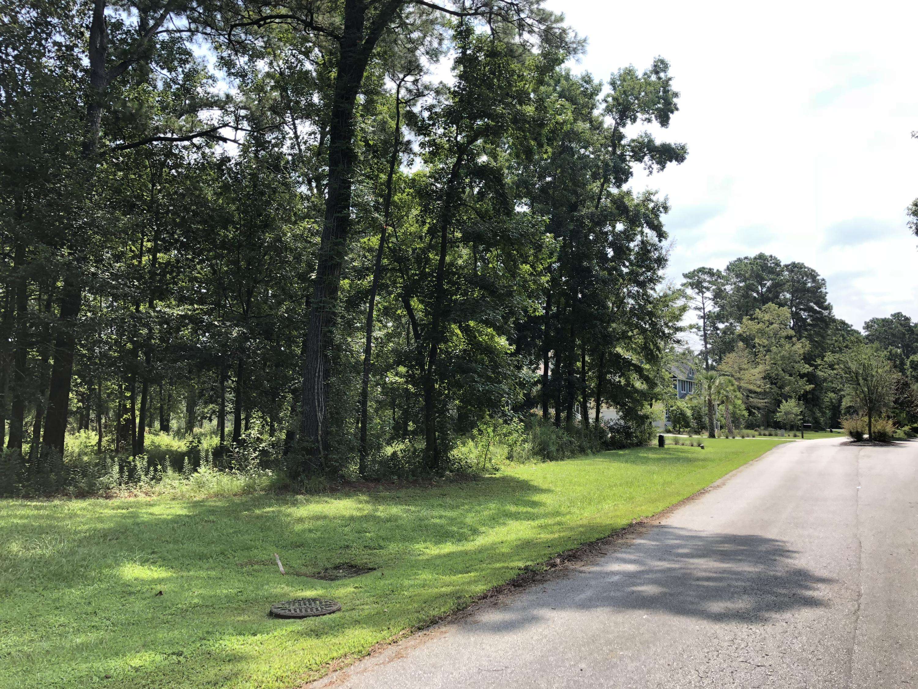 Ravenel, SC 29470,Lot 73 Lady Banks Ln #Lot 73