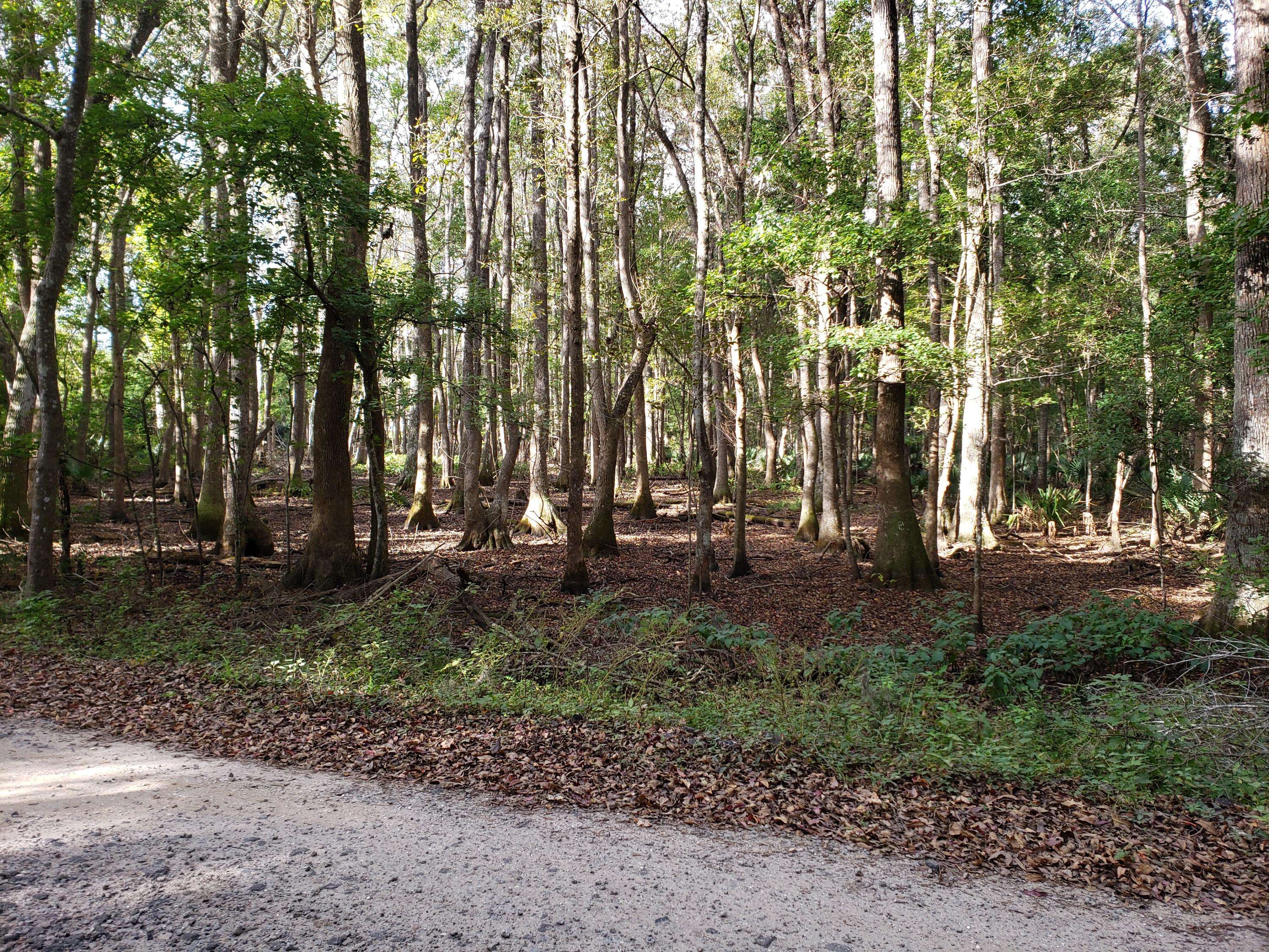 Johns Island, SC 29455,0 Plow Ground