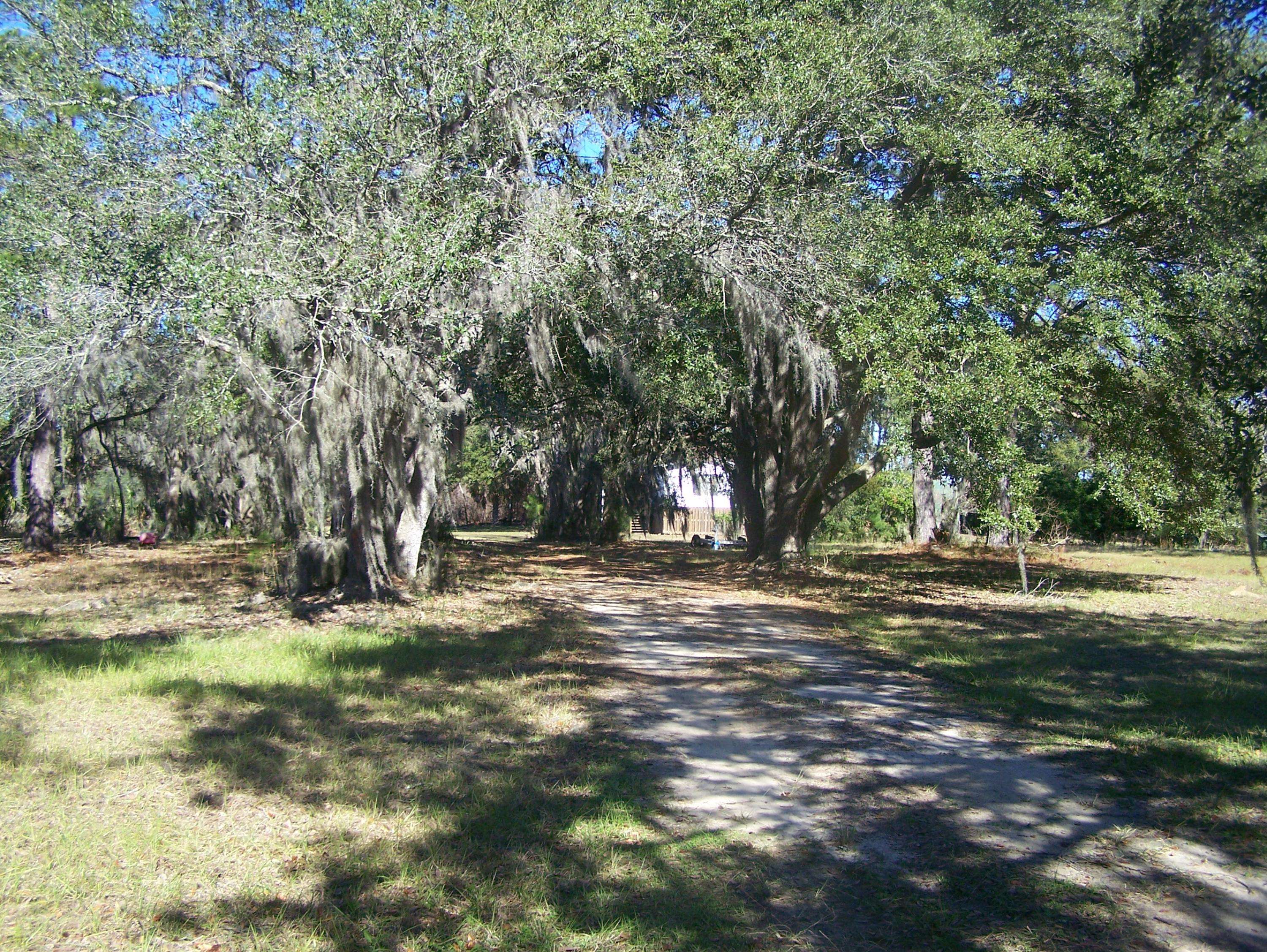 Green Pond, SC 29446,52 Marshside