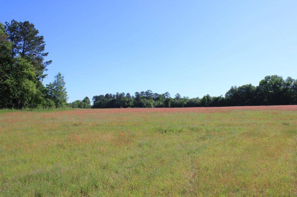 Eastover, SC 29044,1430 Crossing Creek Road