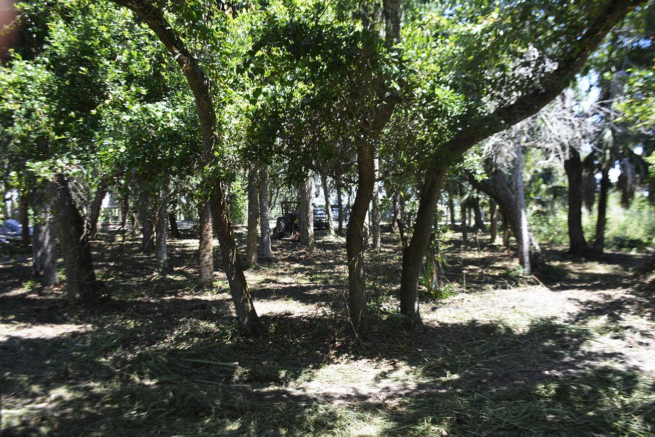 Edisto Island, SC 29438,309 Jungle Rd