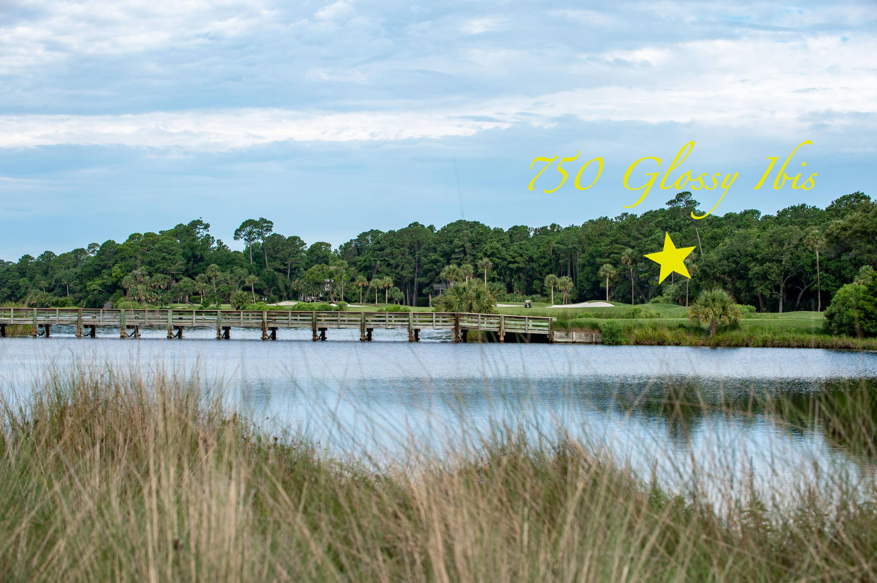 Kiawah Island, SC 29455,750 Glossy Ibis Ln