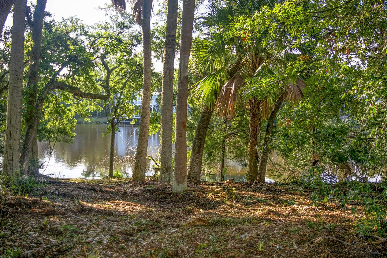 Edisto Island, SC 29438,714 Jungle Rd