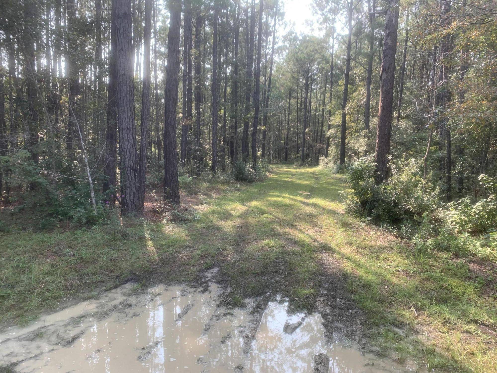 Awendaw, SC 29429,0 Bridle Gate Trl