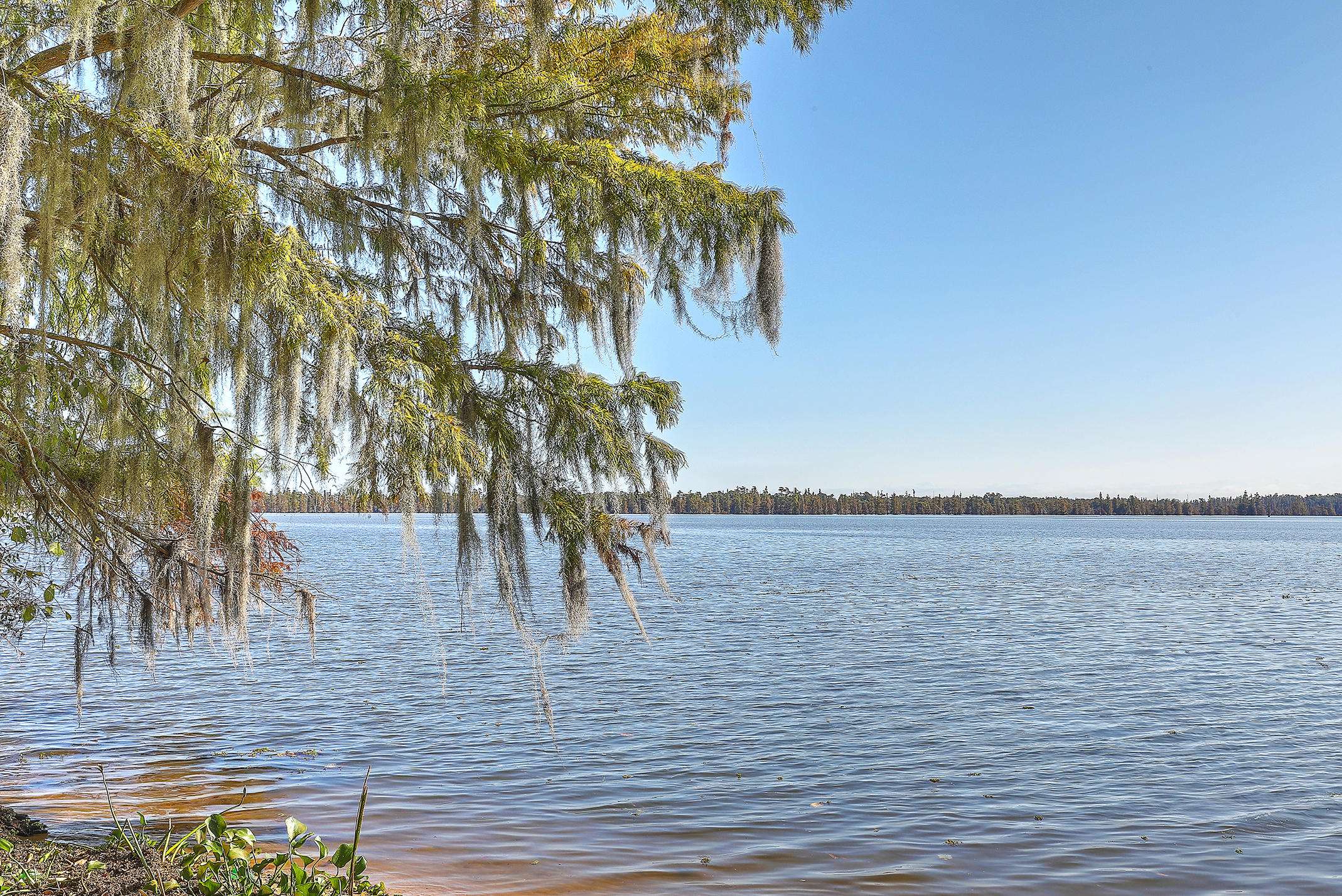 Elloree, SC 29047,Lot 3 Hazzard Ct