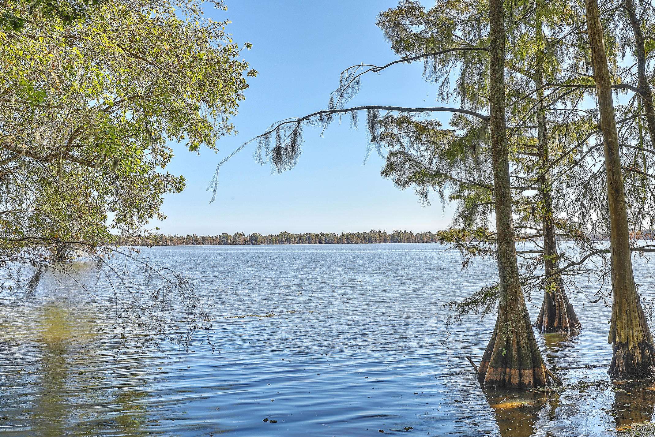 Elloree, SC 29047,Lot 3 Hazzard Ct