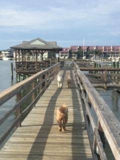 Folly Beach, SC 29439,111 W 2nd St