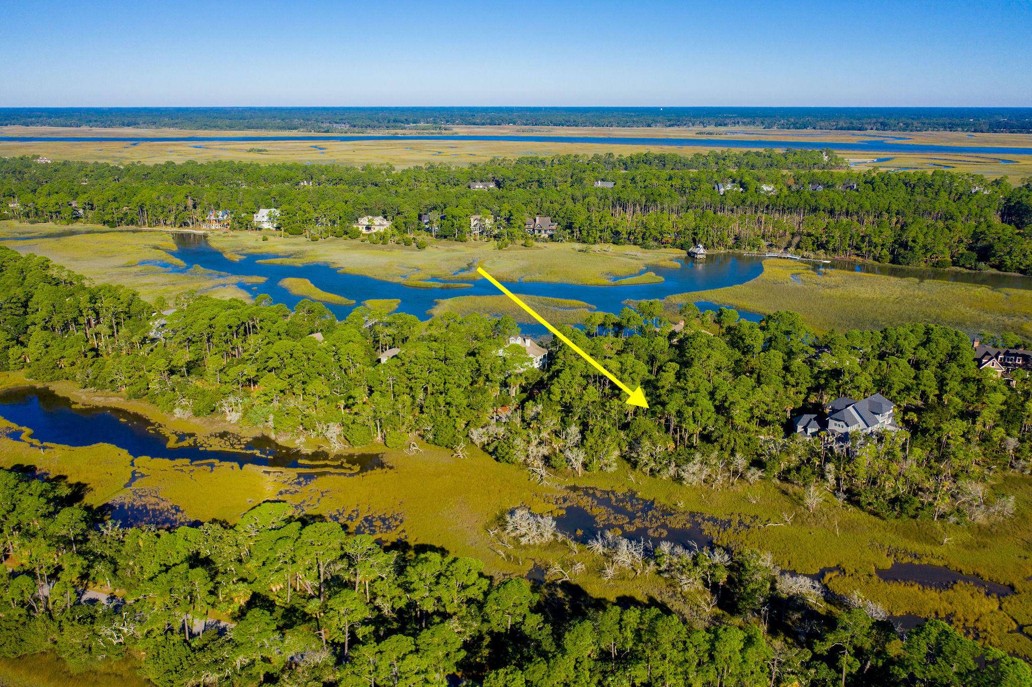 Kiawah Island, SC 29455,64 Salt Cedar Ln