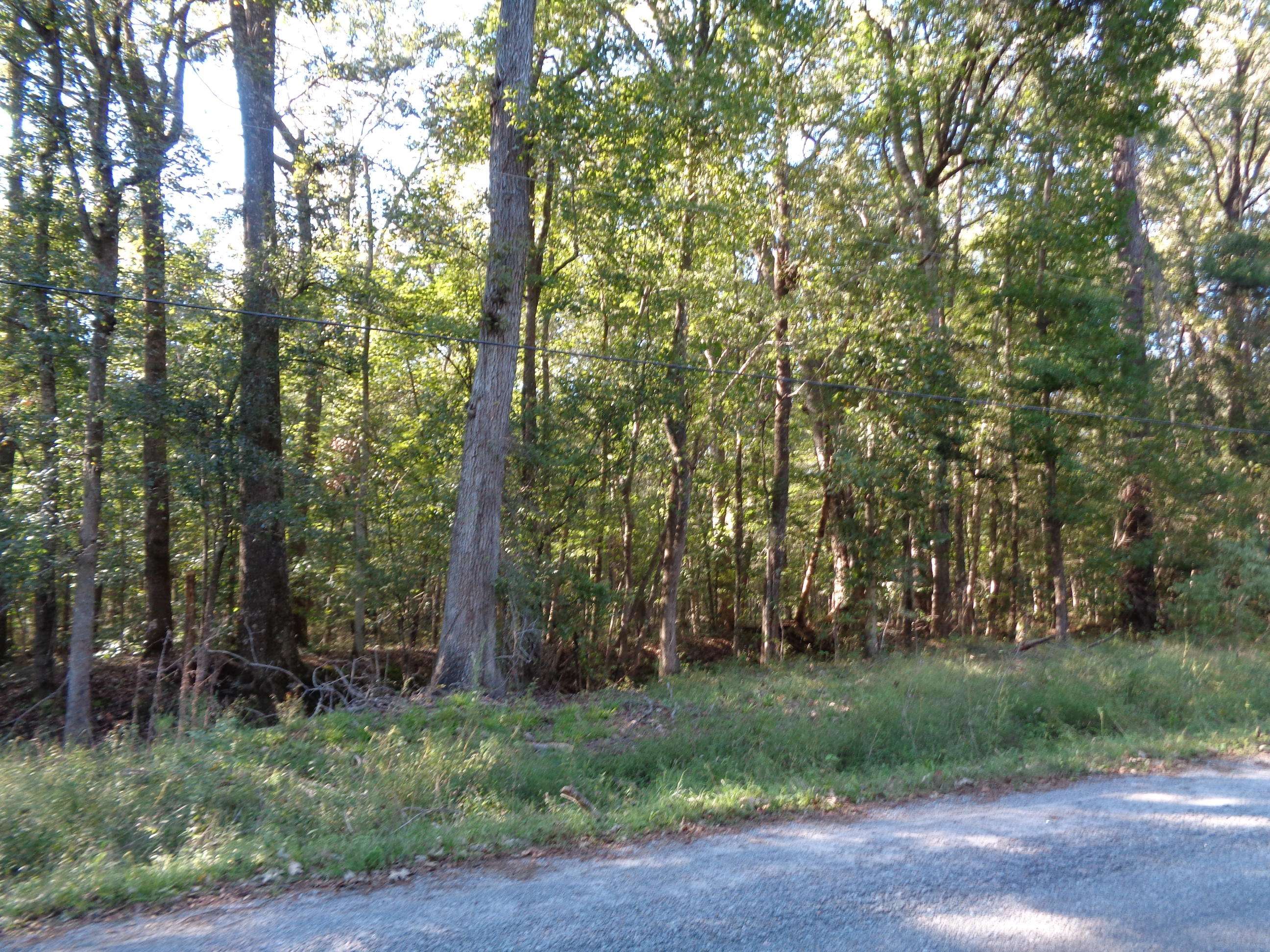 Summerville, SC 29483,18a Twin Lakes Dr