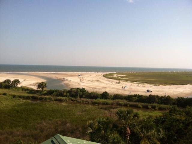 Edisto Island, SC 29438,28 Sharks Tooth