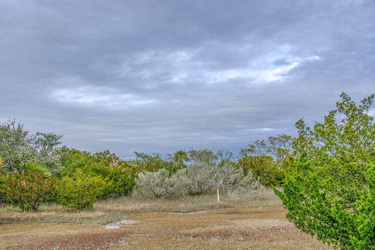 Edisto Island, SC 29438,0 Hammocks Way