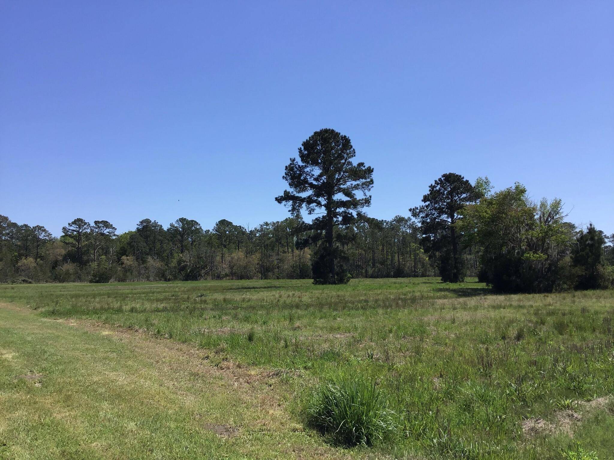 Meggett, SC 29449,Tract B Wilson Rd