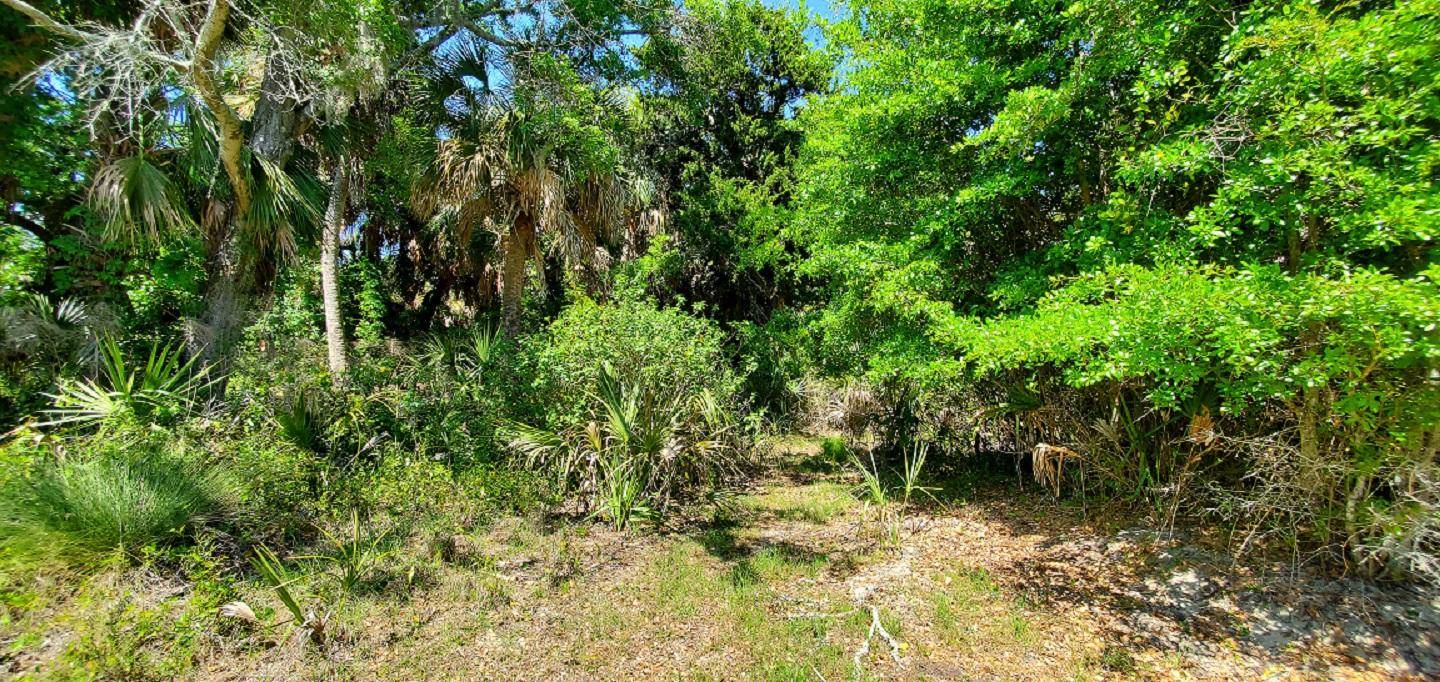 Edisto Island, SC 29438,3103 Fort St