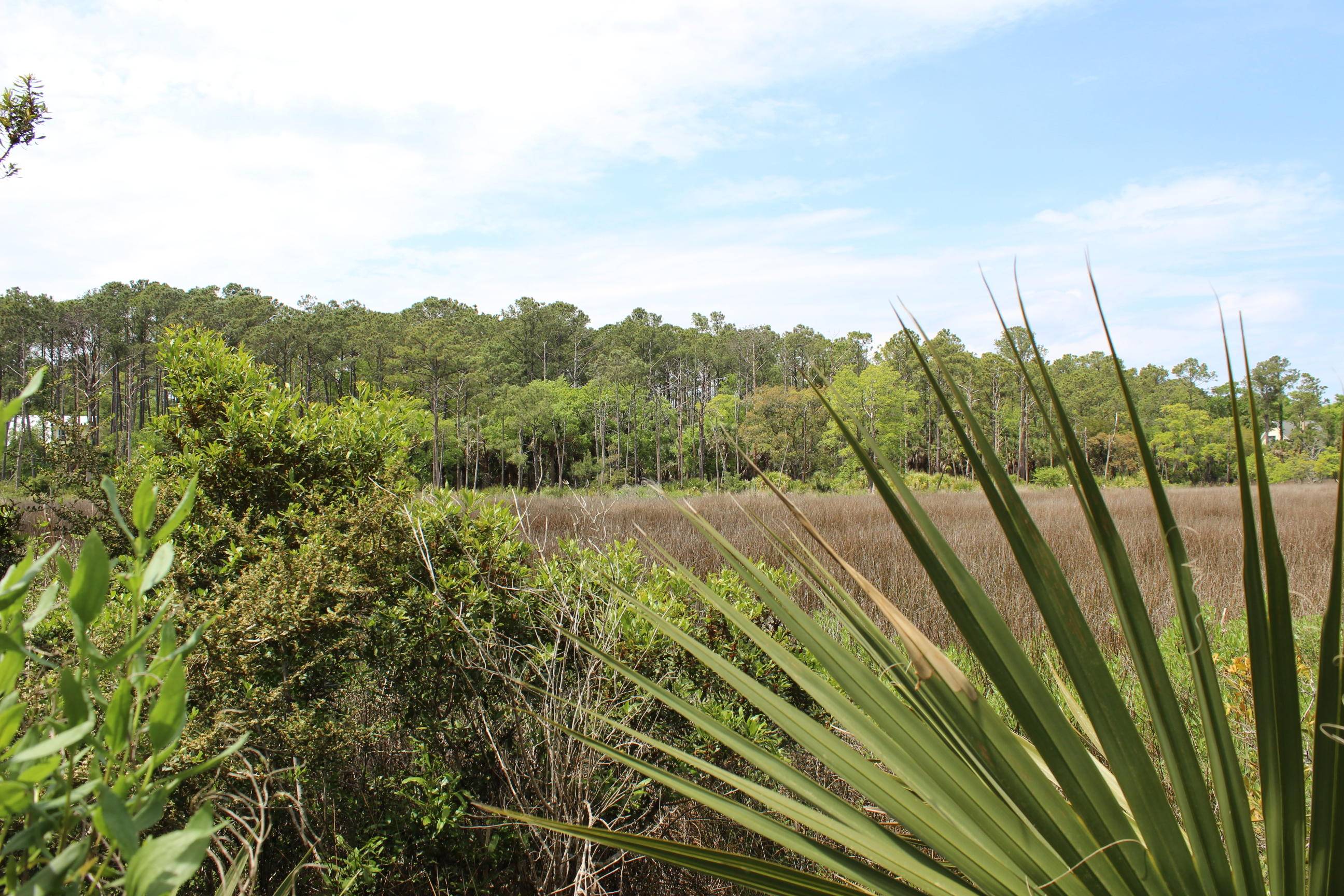 Edisto Island, SC 29438,139 Cotton Bay Rd