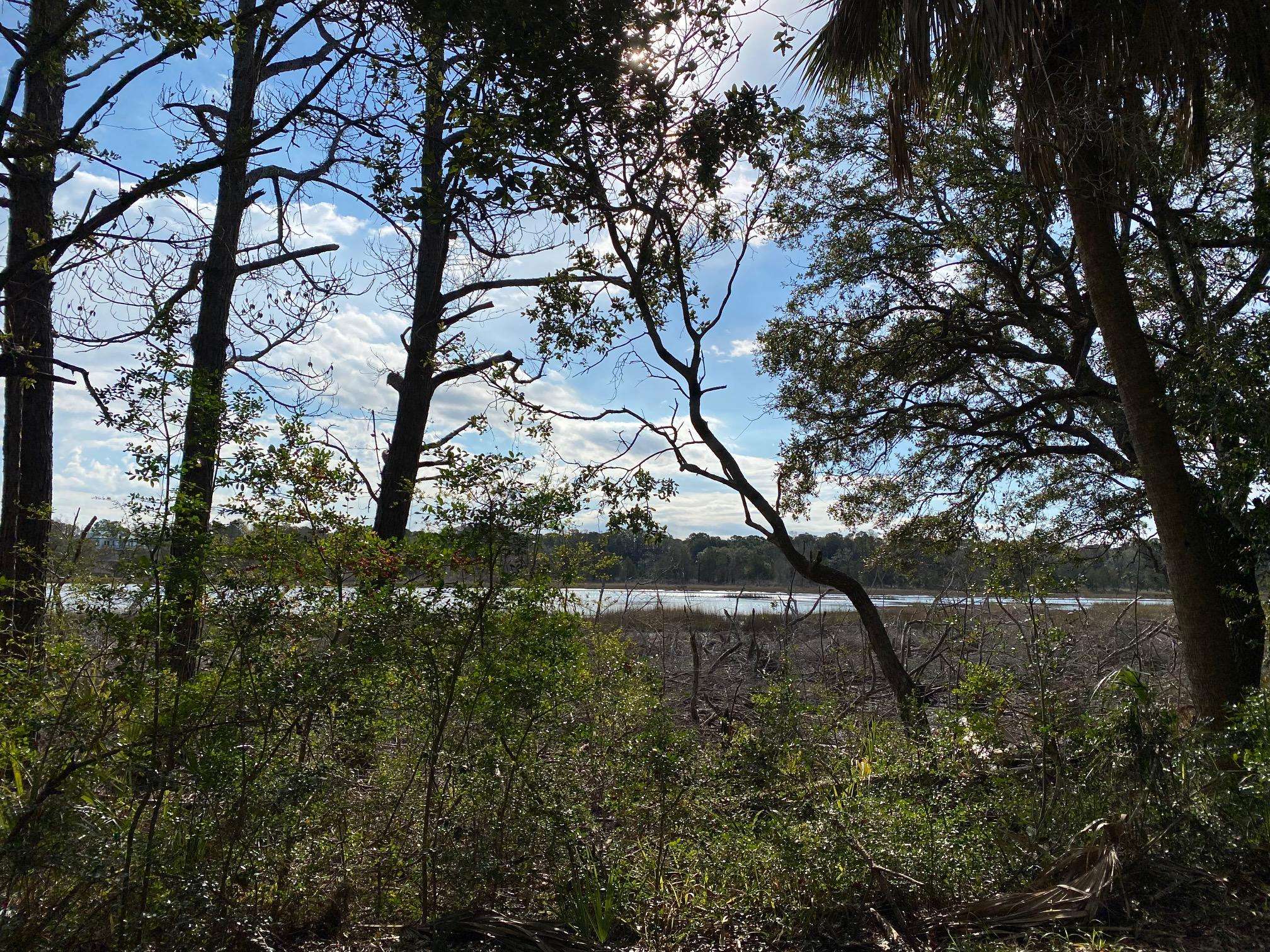 Dewees Island, SC 29451,93 Lake Timicau Ln