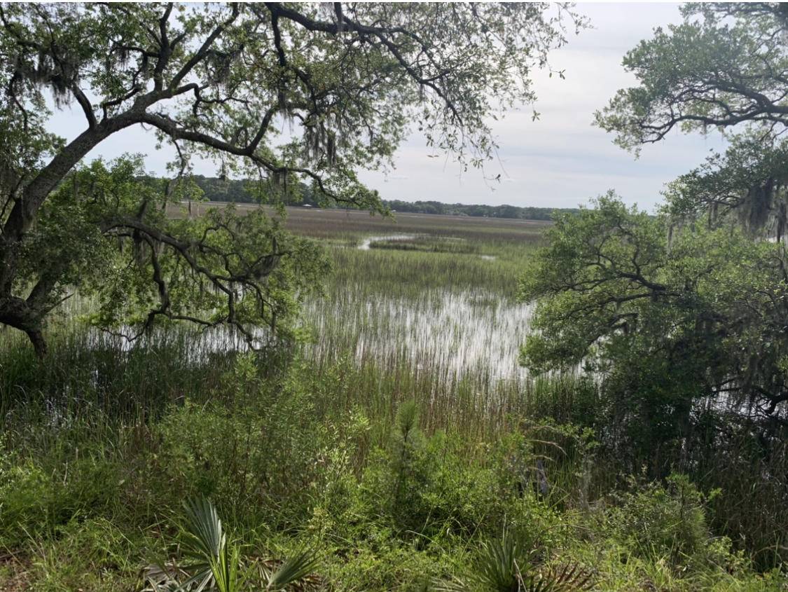 Edisto Island, SC 29438,8607 Middleton Point Ln