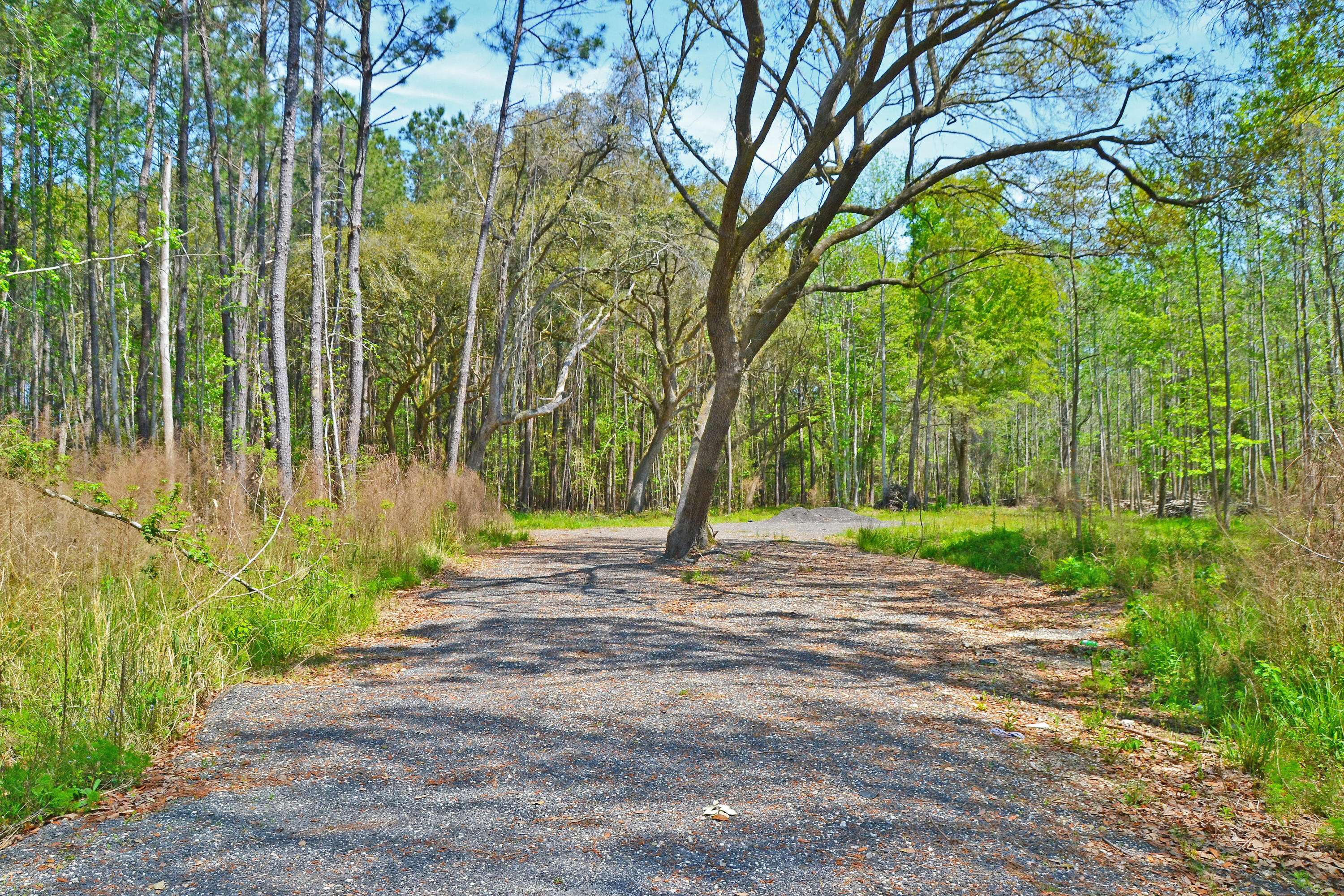 Adams Run, SC 29426,0 Ashe Brown(Tract 2) Rd