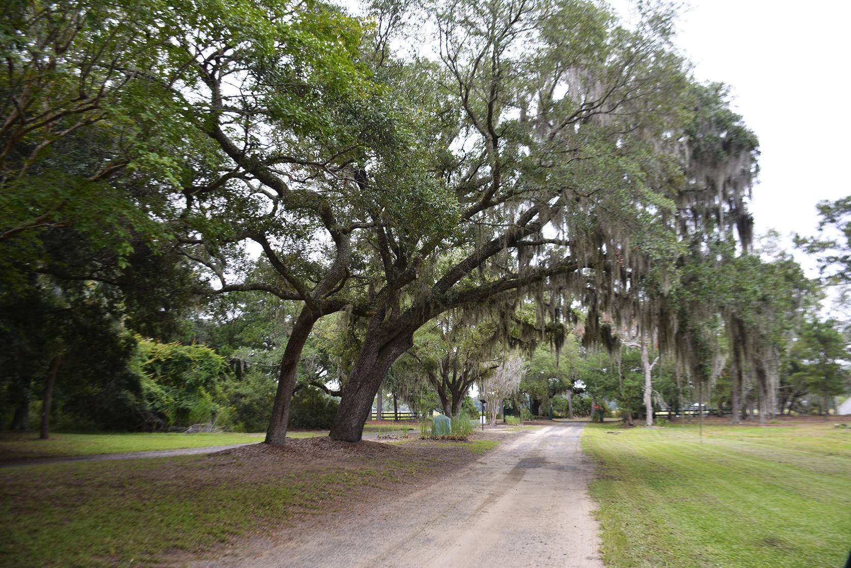 Edisto Island, SC 29438,42 Saint Pierre Creek Dr