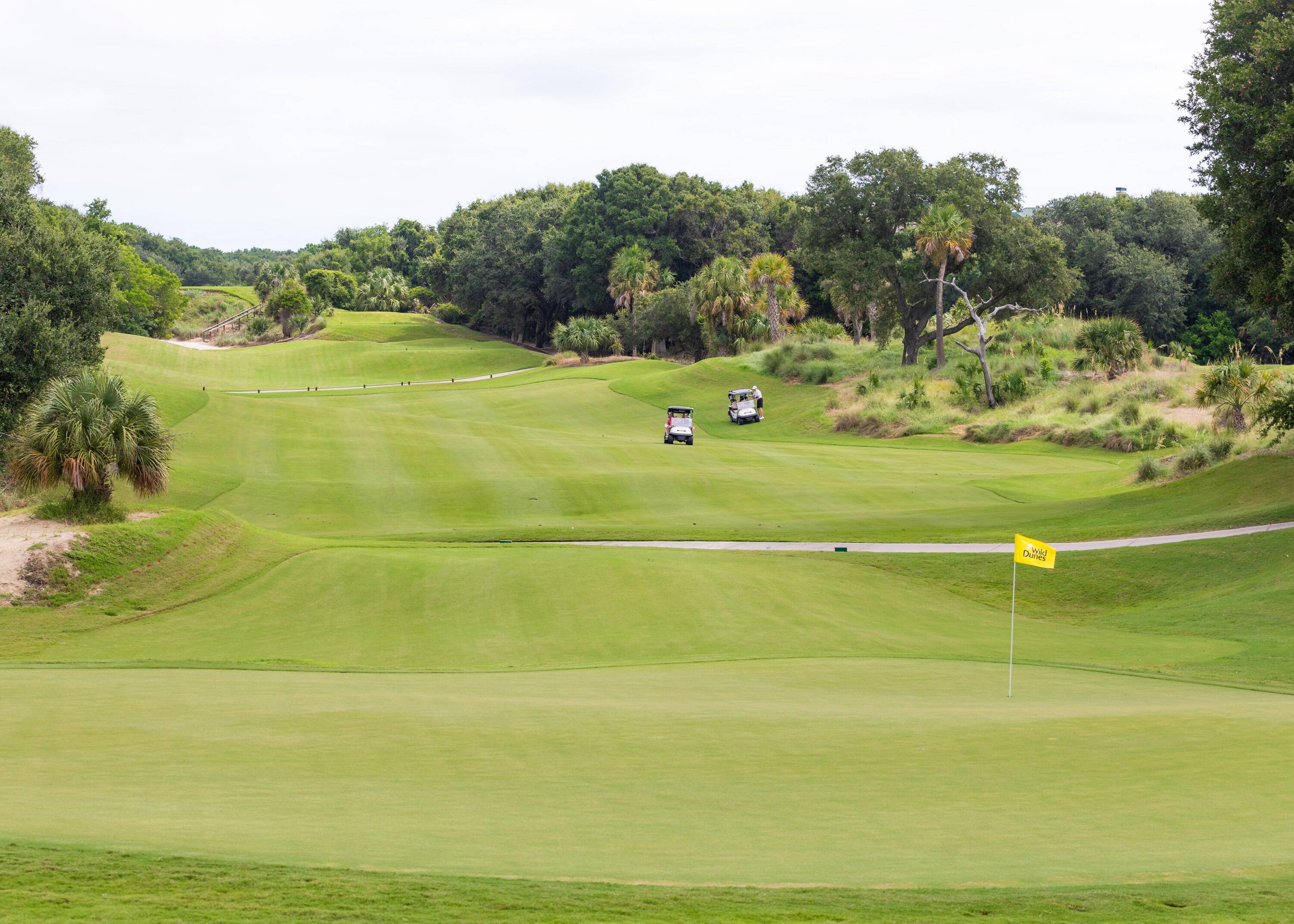 Isle Of Palms, SC 29451,15 Fairway Dunes Ln