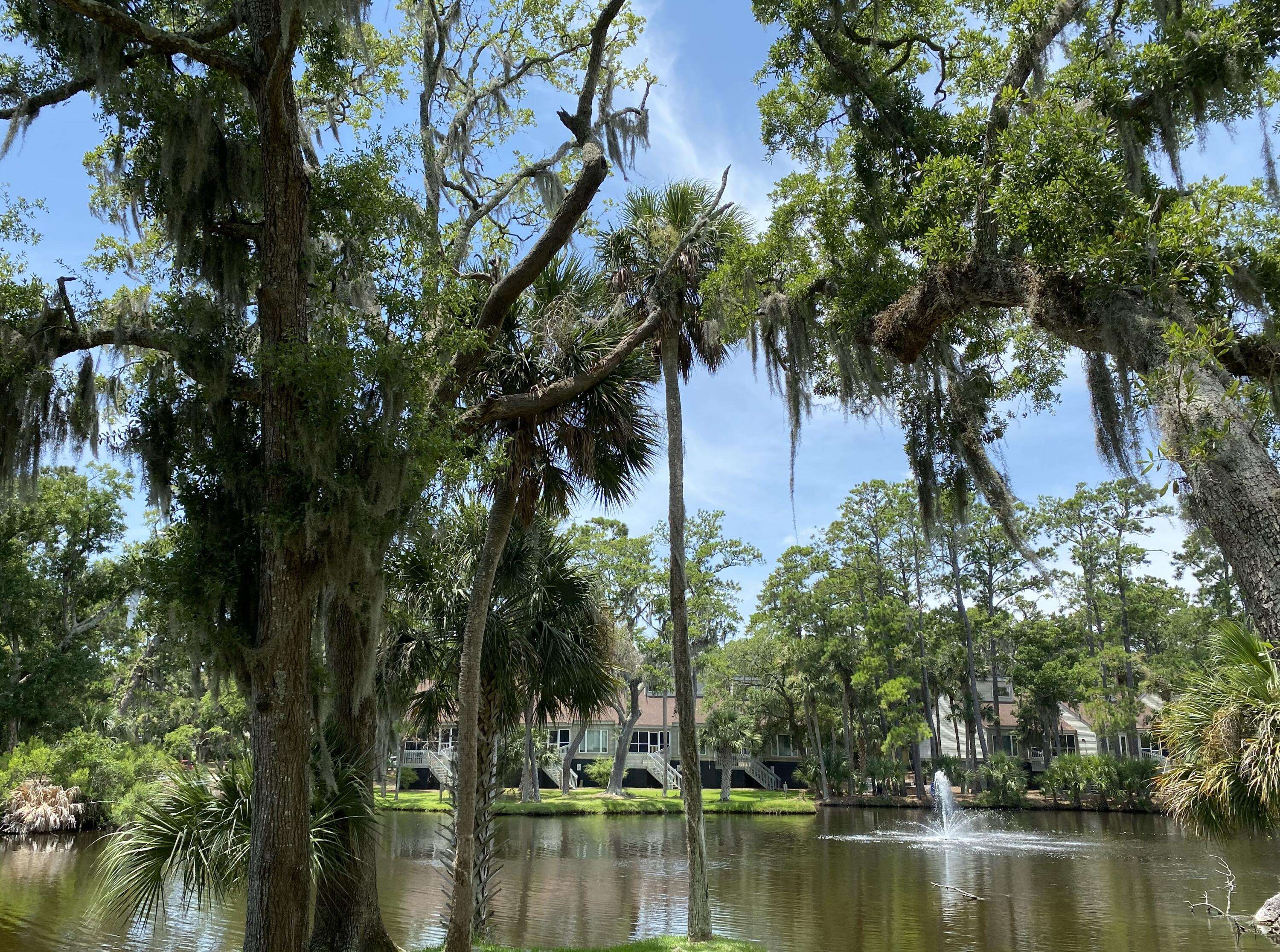 Edisto Island, SC 29438,491 Sea Cloud Cir