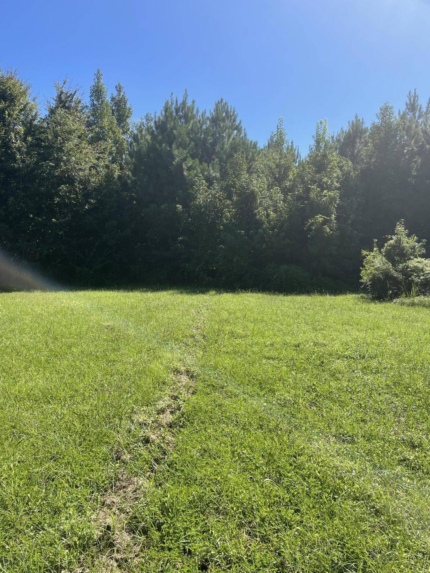 Jacksonboro, SC 29452,00 Hope Plantation Ln