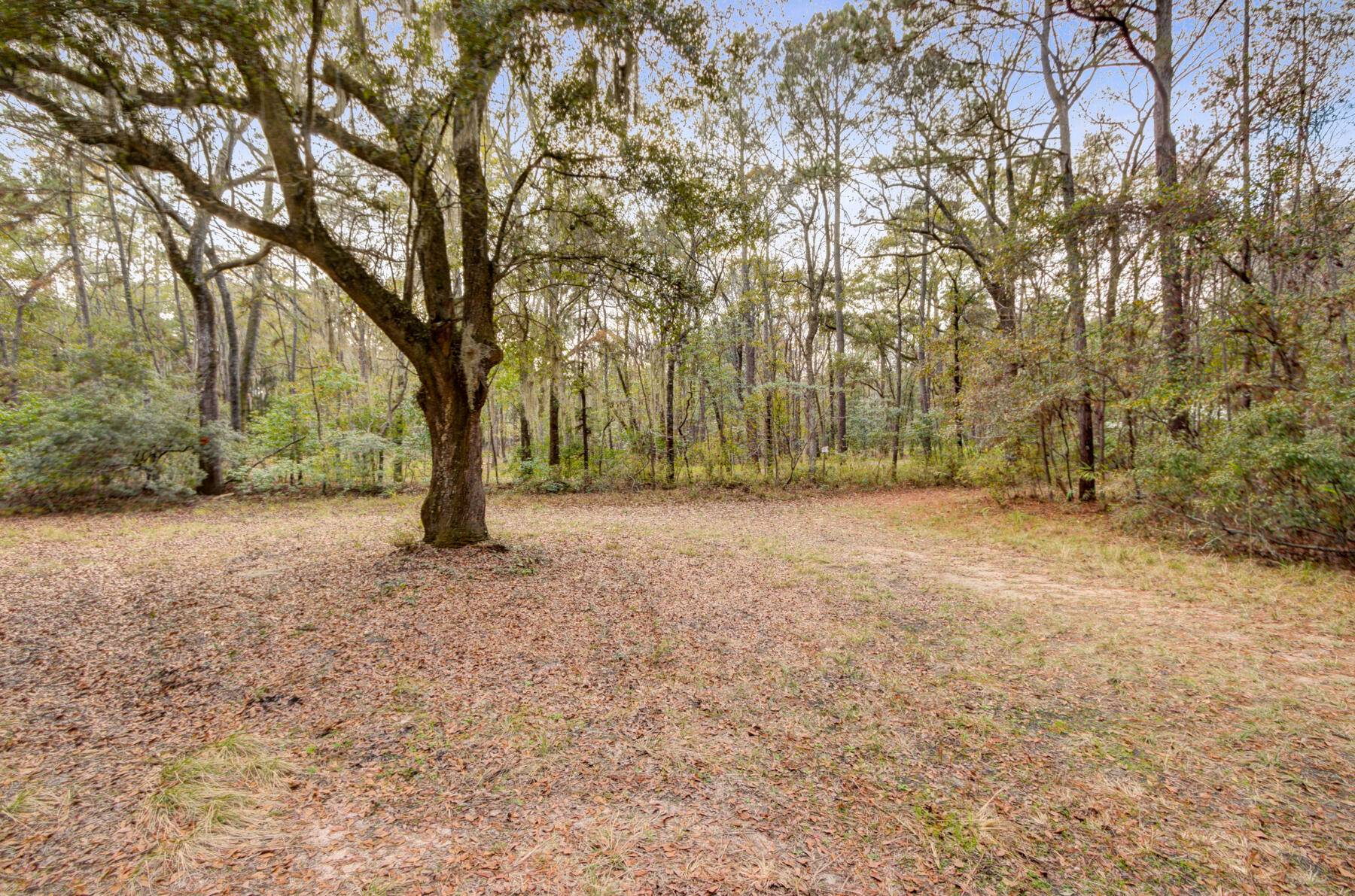 Wadmalaw Island, SC 29487,7122 Lady Elizabeth Ln