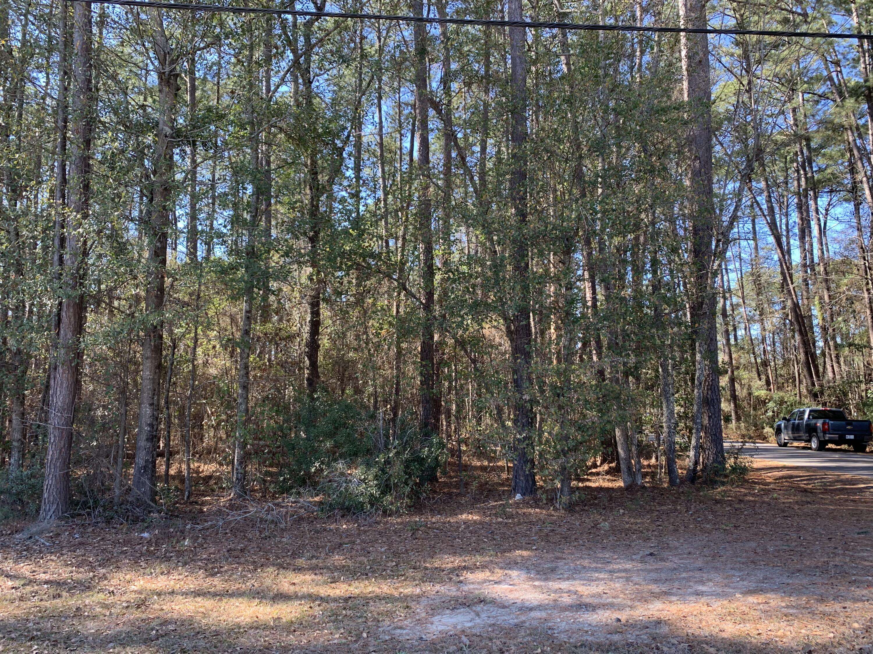 Walterboro, SC 29488,00 Green Pond Hwy