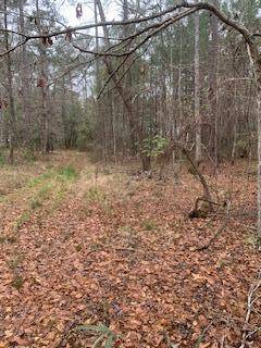 Summerville, SC 29483,0 Rooster Ridge Rd