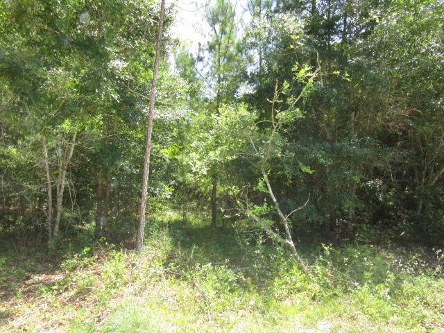 Summerton, SC 29148,1202 Krissy St
