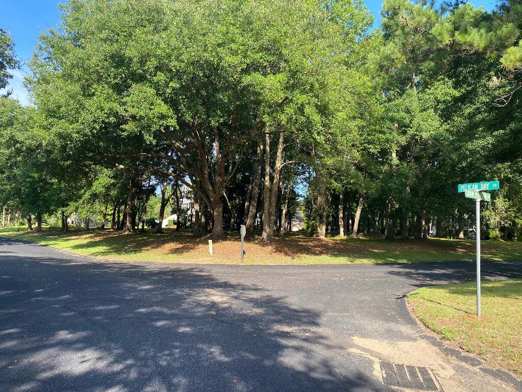 Awendaw, SC 29429,7898 Pelican Bay Dr