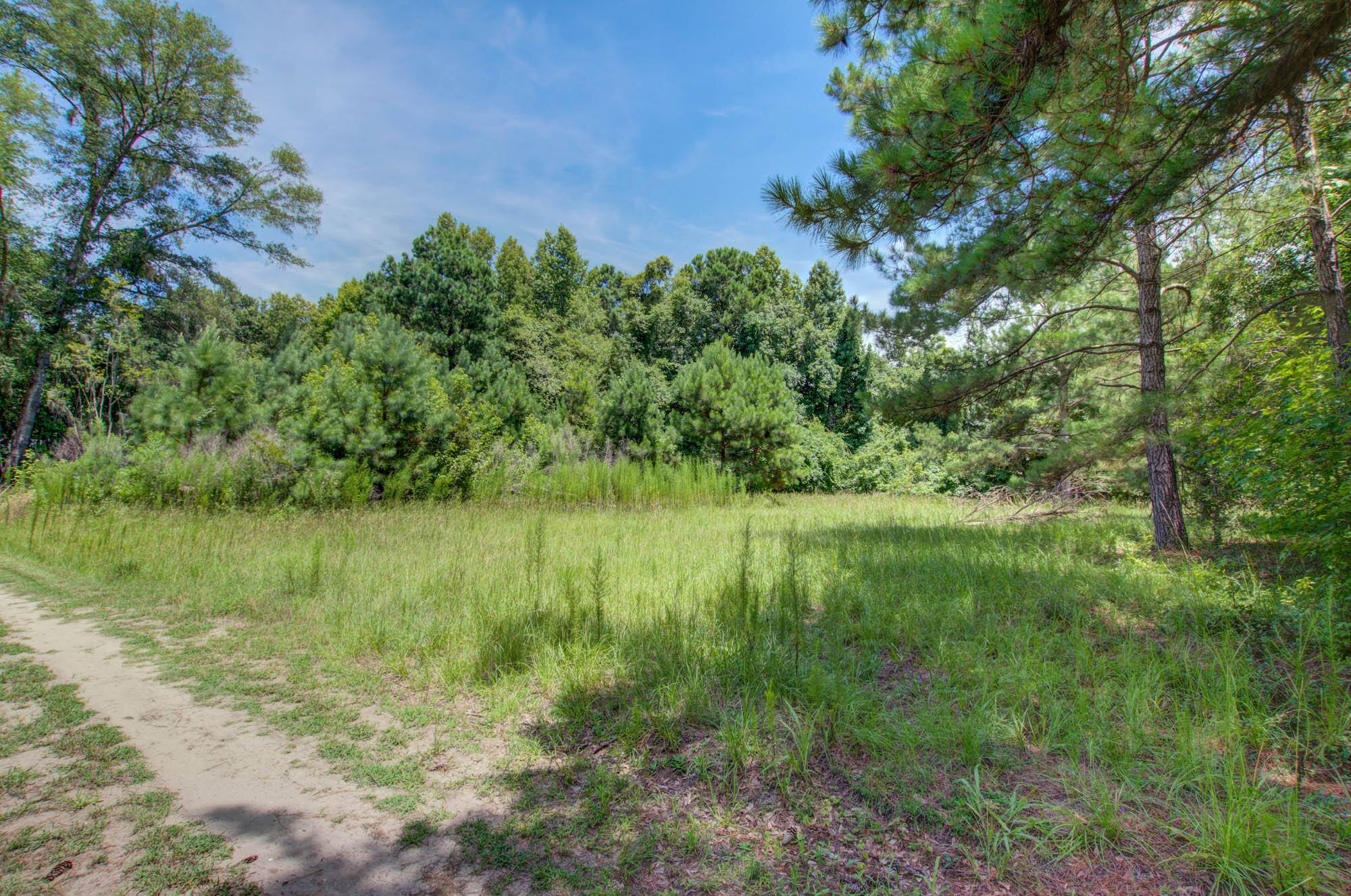 Edisto Island, SC 29438,0 Sugar Pond Rd