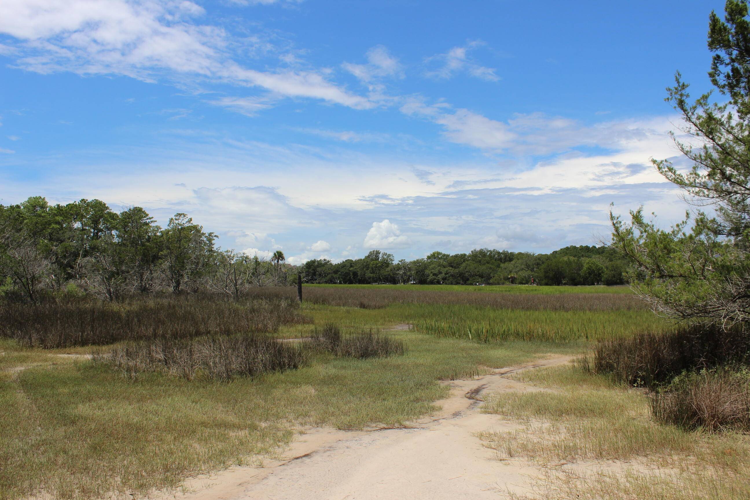 Edisto Island, SC 29438,8436 St Pierre Creek Dr